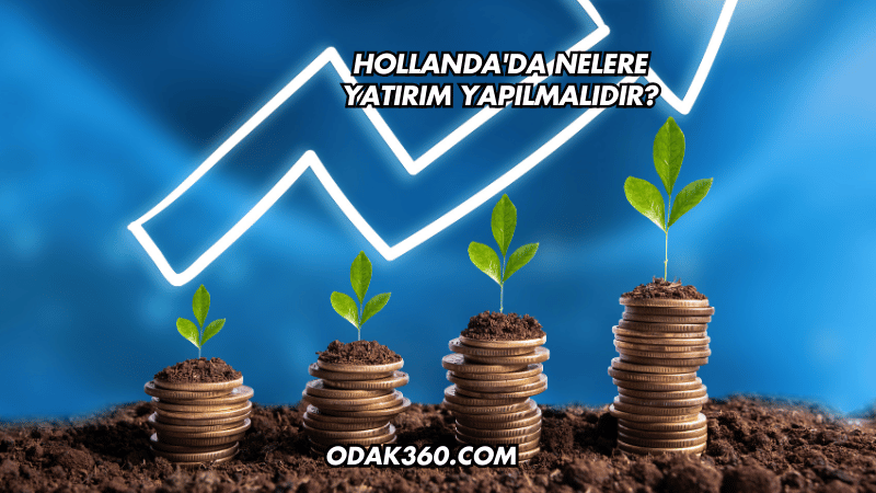 Hollanda'da Nelere Yatırım Yapılmalıdır?