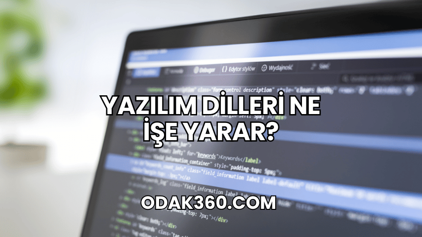 Yazılım Dilleri Ne İşe Yarar?